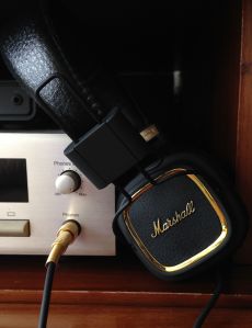 "Hey kid, rock and roll, rock on..." (photo by therockmom)