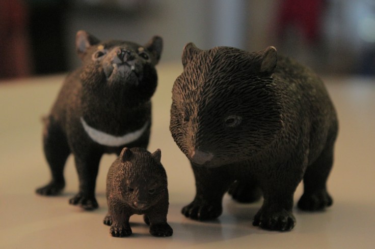 Please don't forsake us. (photo by therockmom)