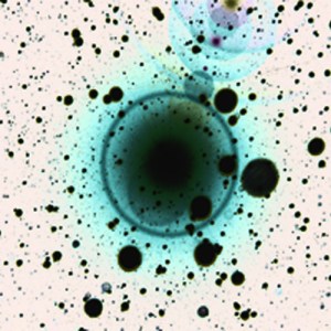 From the Zero 7 EP, Simple Science, out now.